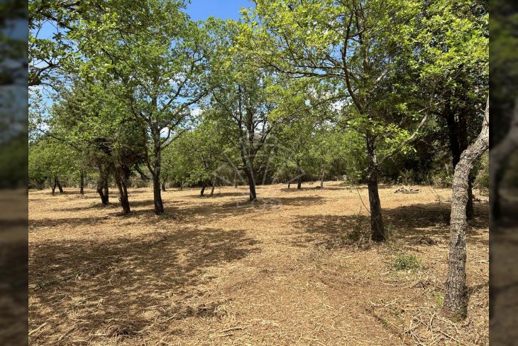Poljoprivredno zemljište, Prodaja, Vodnjan, Peroj Poljoprivredno zemljište, Prodaja, Vodnjan, Peroj