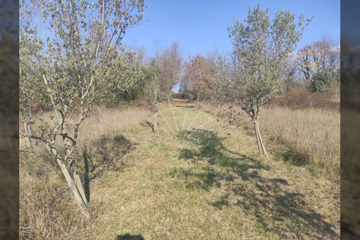 Otok, Prodaja, Marčana, Krnica Otok, Prodaja, Marčana, Krnica