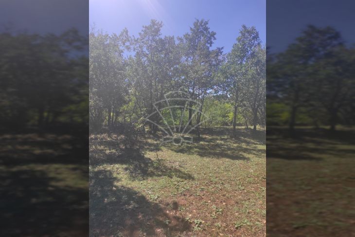 Poljoprivredno zemljište, Prodaja, Vodnjan, Vodnjan Poljoprivredno zemljište, Prodaja, Vodnjan, Vodnjan