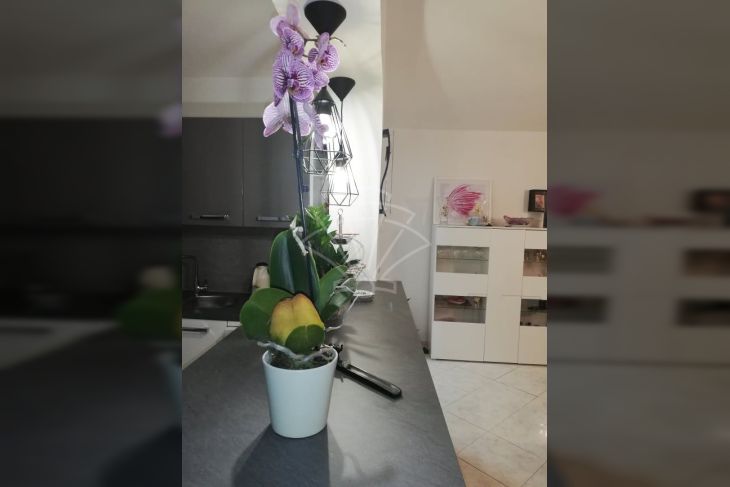 Stan u zgradi, Prodaja, Rovinj, Rovinjsko Selo Stan u zgradi, Prodaja, Rovinj, Rovinjsko Selo