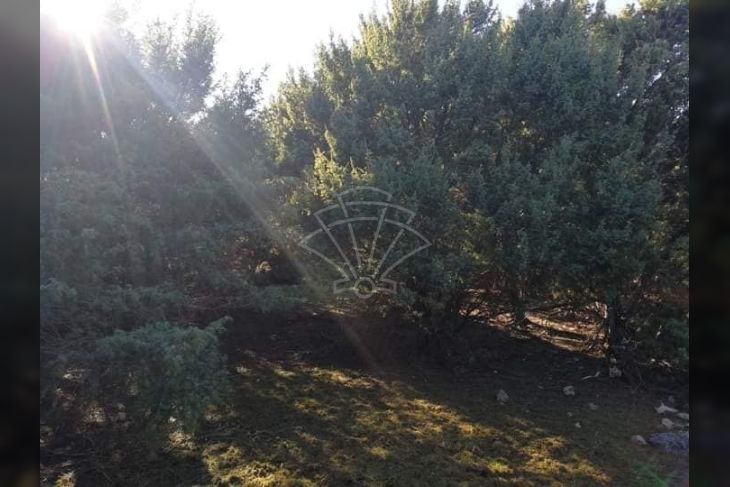 Poljoprivredno zemljište, Prodaja, Krk, Krk Poljoprivredno zemljište, Prodaja, Krk, Krk