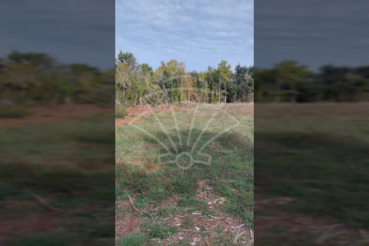 Poljoprivredno zemljište, Prodaja, Ližnjan, Šišan Poljoprivredno zemljište, Prodaja, Ližnjan, Šišan