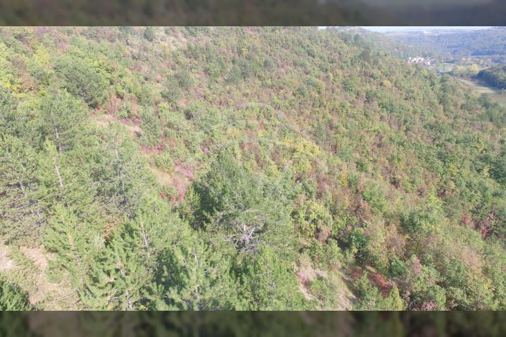 Poljoprivredno zemljište, Prodaja, Cerovlje, Draguć Poljoprivredno zemljište, Prodaja, Cerovlje, Draguć