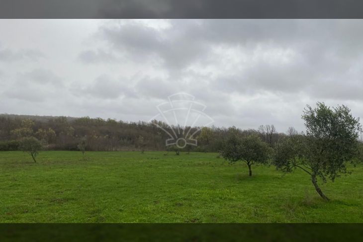 Poljoprivredno zemljište, Prodaja, Kanfanar, Jural