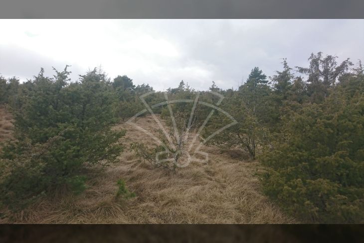 Poljoprivredno zemljište, Prodaja, Matulji, Lipa Poljoprivredno zemljište, Prodaja, Matulji, Lipa
