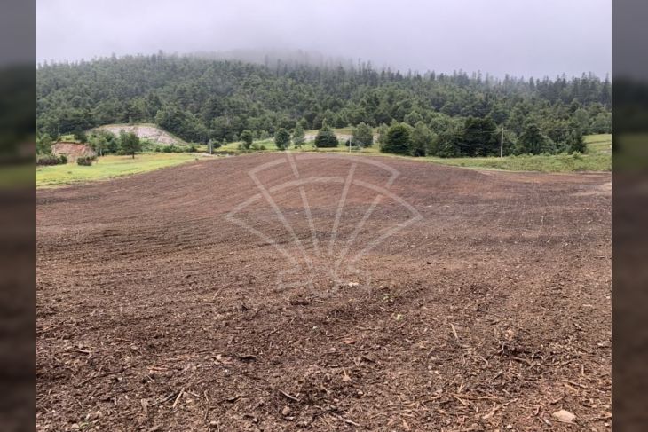 Samostojeća kuća, Prodaja, Fužine, Belo Selo Samostojeća kuća, Prodaja, Fužine, Belo Selo