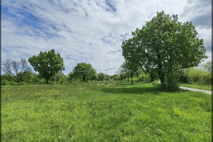 Građevinsko zemljište, Prodaja, Višnjan, Višnjan