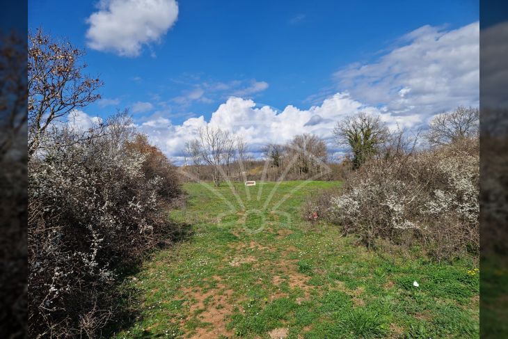 Građevinsko zemljište, Prodaja, Barban, Manjadvorci Građevinsko zemljište, Prodaja, Barban, Manjadvorci
