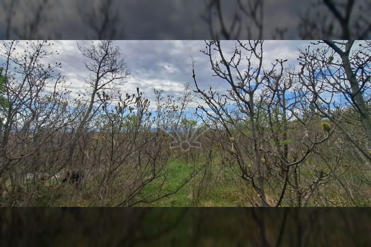 Građevinsko zemljište, Prodaja, Bakar, Krasica