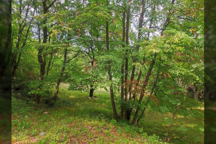 Samostojeća kuća, Prodaja, Kastav, Rešetari Samostojeća kuća, Prodaja, Kastav, Rešetari