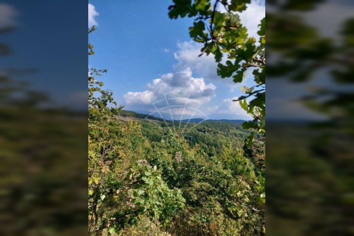 Poljoprivredno zemljište, Prodaja, Cerovlje, Cerovlje Poljoprivredno zemljište, Prodaja, Cerovlje, Cerovlje