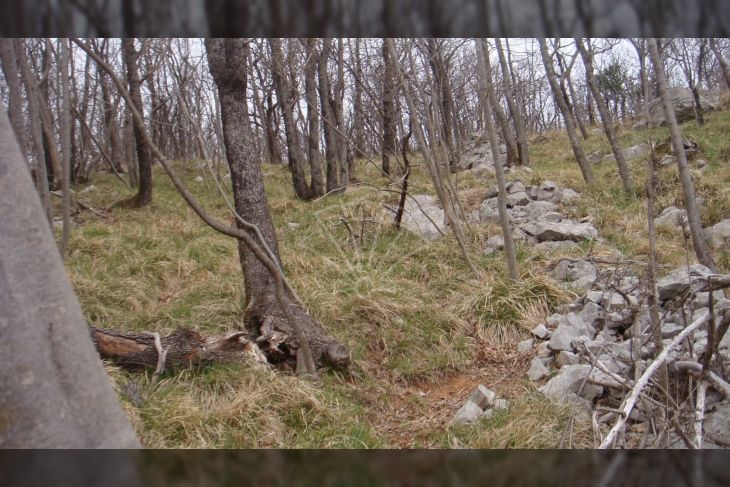 Poljoprivredno zemljište, Prodaja, Jelenje, Podhum