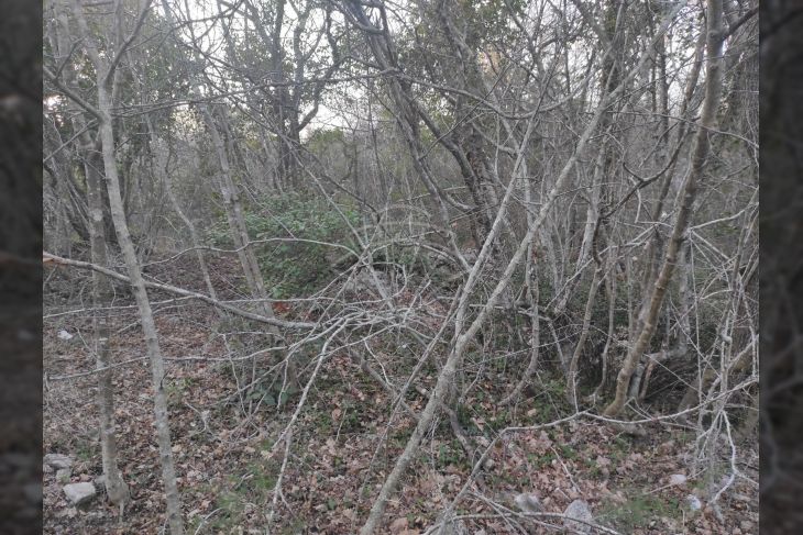 Zemljište - ostalo, Prodaja, Marčana, Peruški Zemljište - ostalo, Prodaja, Marčana, Peruški