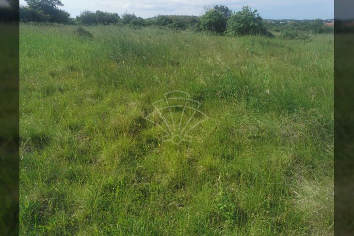 Poljoprivredno zemljište, Prodaja, Medulin, Medulin