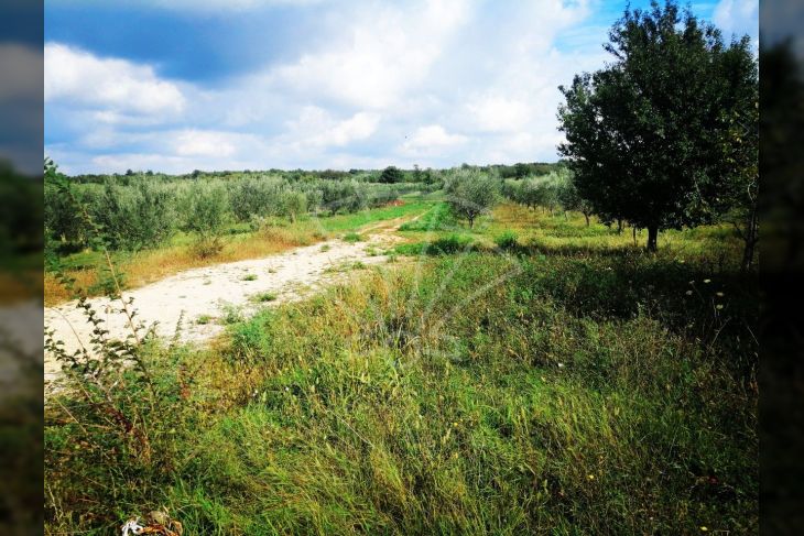 Građevinsko mješovito, Prodaja, Poreč, Poreč Građevinsko mješovito, Prodaja, Poreč, Poreč