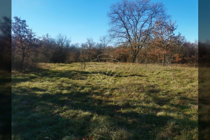 Zemljište - ostalo, Prodaja, Vrsar, Vrsar Zemljište - ostalo, Prodaja, Vrsar, Vrsar