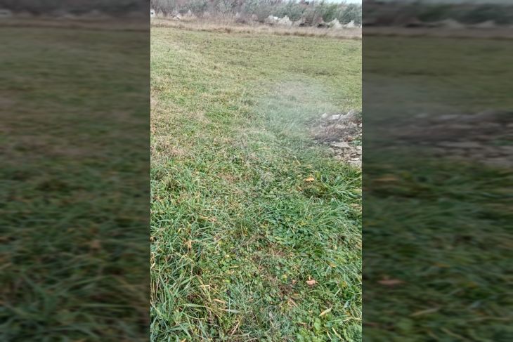 Poljoprivredno zemljište, Prodaja, Vodnjan, Vodnjan Poljoprivredno zemljište, Prodaja, Vodnjan, Vodnjan