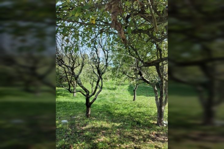 Samostojeća kuća, Prodaja, Jelenje, Lopača Samostojeća kuća, Prodaja, Jelenje, Lopača