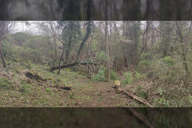 Građevinsko zemljište, Prodaja, Viškovo, Sroki Građevinsko zemljište, Prodaja, Viškovo, Sroki