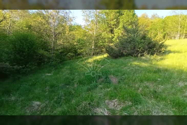 Poljoprivredno zemljište, Prodaja, Matulji, Šapjane Poljoprivredno zemljište, Prodaja, Matulji, Šapjane