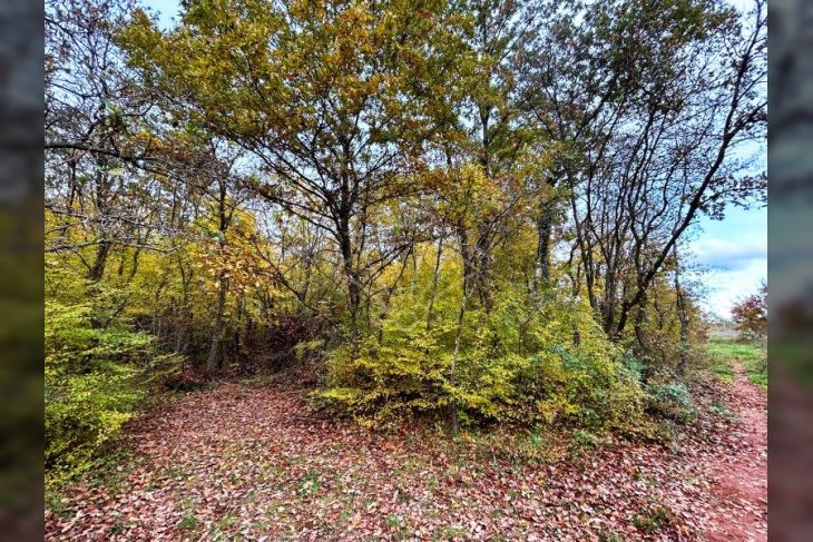 Poljoprivredno zemljište, Prodaja, Marčana, Krnica Poljoprivredno zemljište, Prodaja, Marčana, Krnica