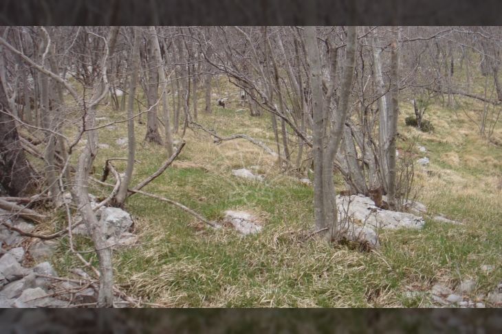 Poljoprivredno zemljište, Prodaja, Jelenje, Podhum