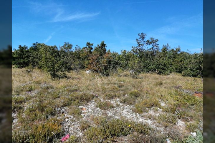 Poljoprivredno zemljište, Prodaja, Dobrinj, Kras
