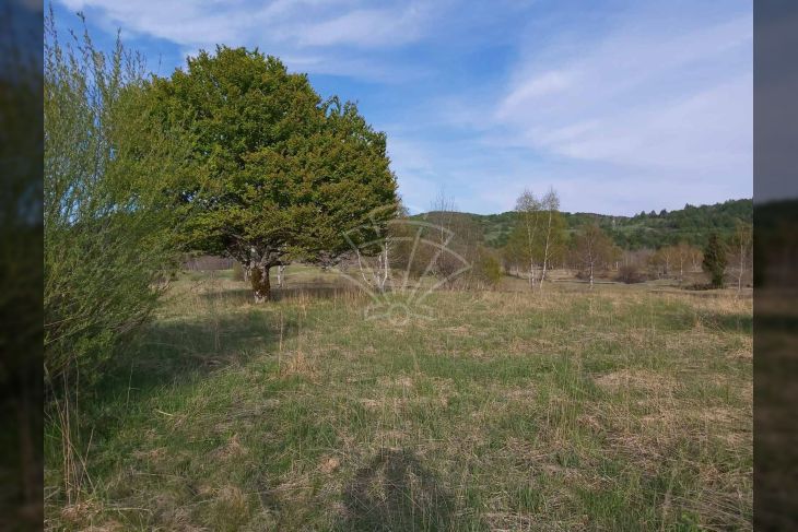 Građevinsko mješovito, Prodaja, Delnice, Zalesina Građevinsko mješovito, Prodaja, Delnice, Zalesina