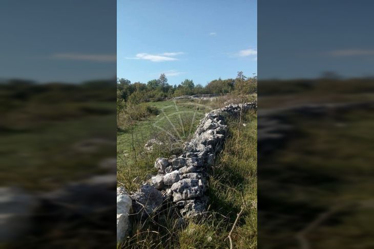 Zemljište - ostalo, Prodaja, Kanfanar, Jural Zemljište - ostalo, Prodaja, Kanfanar, Jural