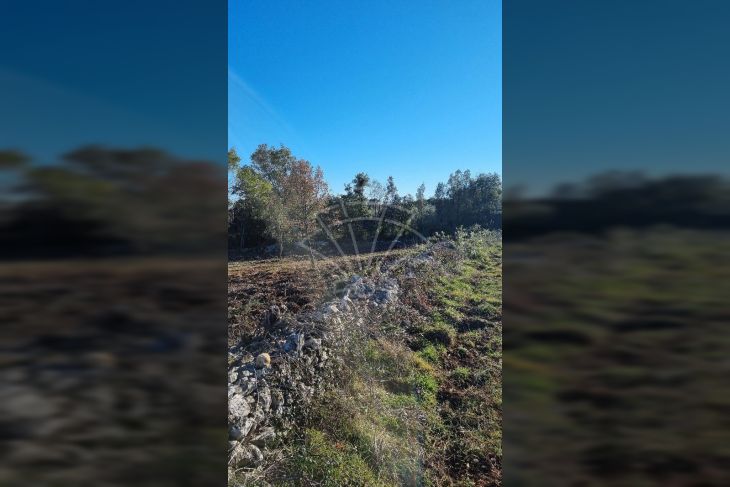 Poljoprivredno zemljište, Prodaja, Marčana, Kavran Poljoprivredno zemljište, Prodaja, Marčana, Kavran
