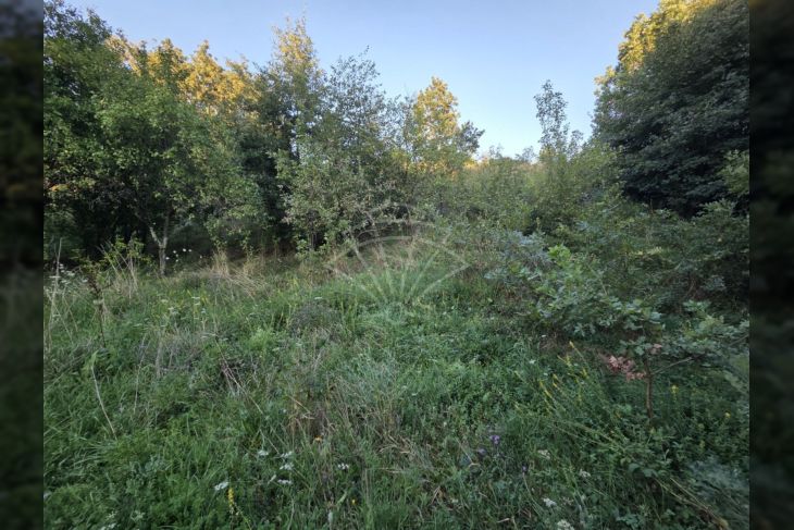 Građevinsko zemljište, Prodaja, Čavle, Čavle