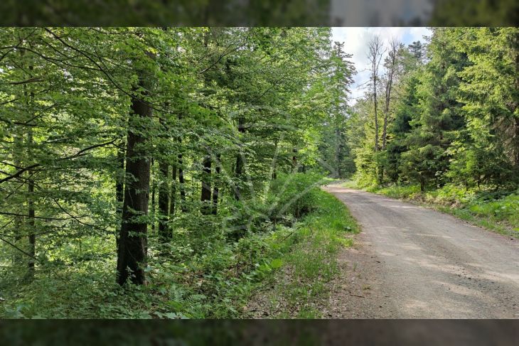 Poljoprivredno zemljište, Prodaja, Fužine, Fužine Poljoprivredno zemljište, Prodaja, Fužine, Fužine