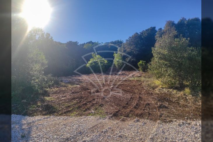 Šuma, Prodaja, Marčana, Kavran Šuma, Prodaja, Marčana, Kavran