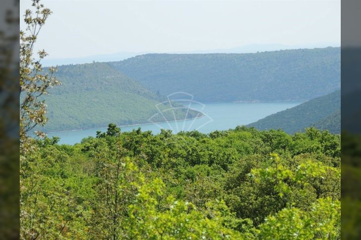 Građevinsko zemljište, Prodaja, Barban, Puntera