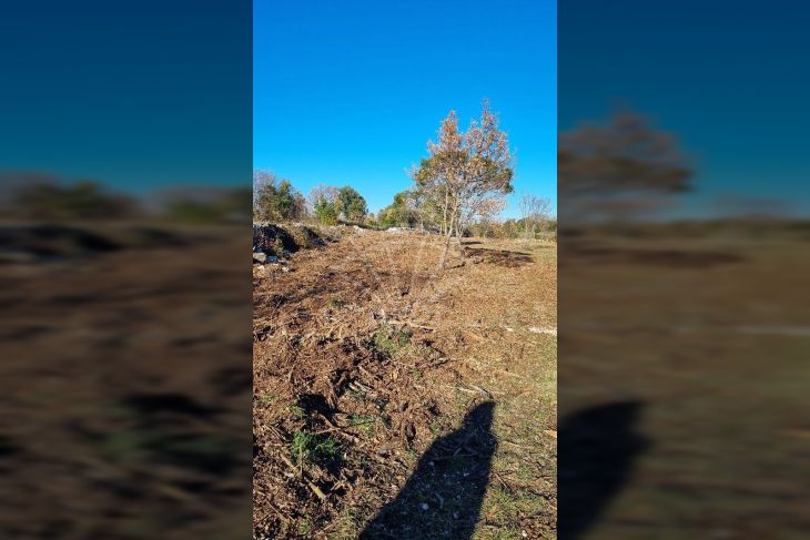 Poljoprivredno zemljište, Prodaja, Marčana, Kavran Poljoprivredno zemljište, Prodaja, Marčana, Kavran