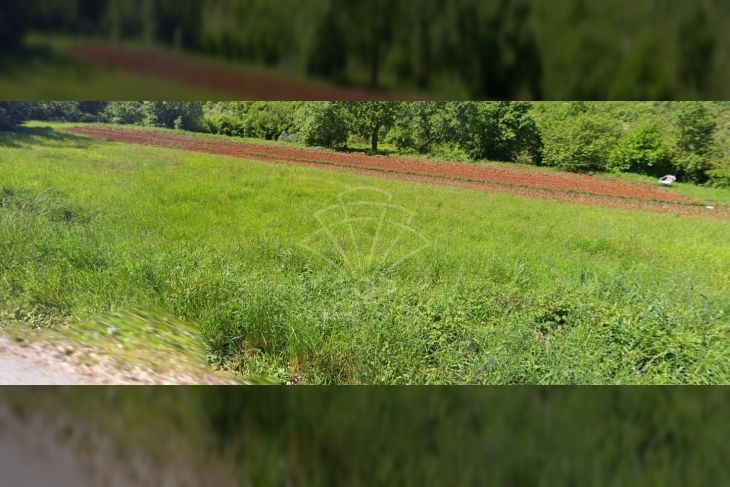 Građevinsko zemljište, Prodaja, Motovun, Motovun