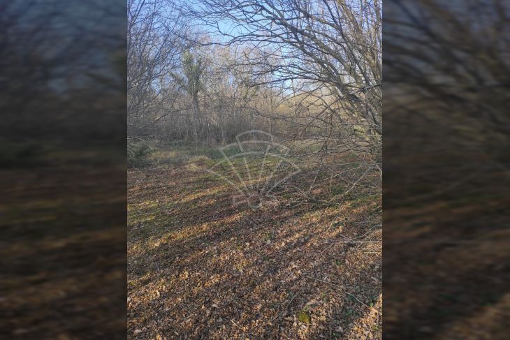 Poljoprivredno zemljište, Prodaja, Barban, Hrboki Poljoprivredno zemljište, Prodaja, Barban, Hrboki