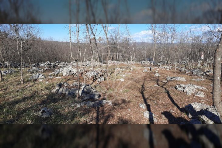Šuma, Prodaja, Krk, Kornić Šuma, Prodaja, Krk, Kornić