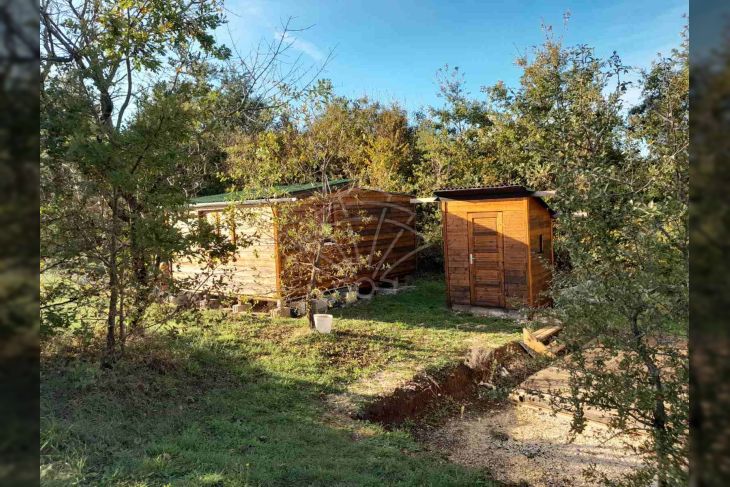 Poljoprivredno zemljište, Prodaja, Svetvinčenat, Foli Poljoprivredno zemljište, Prodaja, Svetvinčenat, Foli