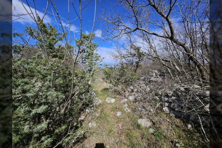 Poljoprivredno zemljište, Prodaja, Krk, Skrbčići Poljoprivredno zemljište, Prodaja, Krk, Skrbčići