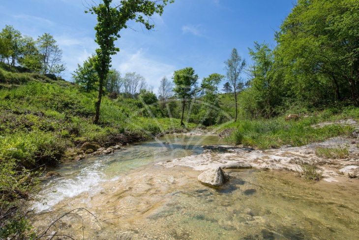 Građevinsko zemljište, Prodaja, Pazin - Okolica, Trviž Građevinsko zemljište, Prodaja, Pazin - Okolica, Trviž