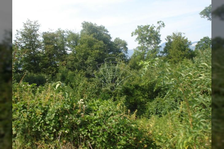 Građevinsko, Prodaja, Čavle, Čavle Građevinsko, Prodaja, Čavle, Čavle