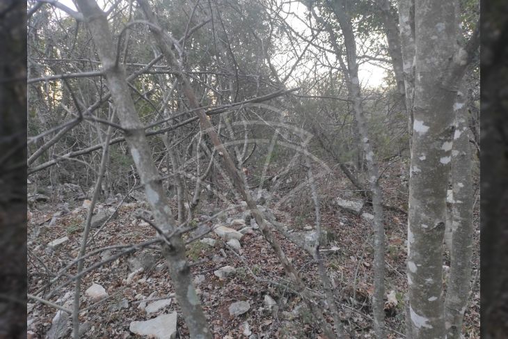 Zemljište - ostalo, Prodaja, Marčana, Peruški Zemljište - ostalo, Prodaja, Marčana, Peruški