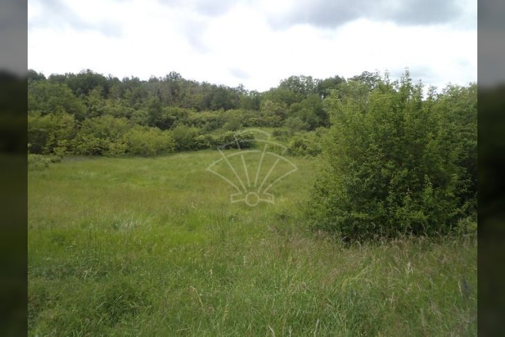 Poljoprivredno zemljište, Prodaja, Pazin - Okolica, Trviž