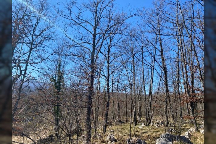 Zemljište - ostalo, Prodaja, Matulji, Šapjane