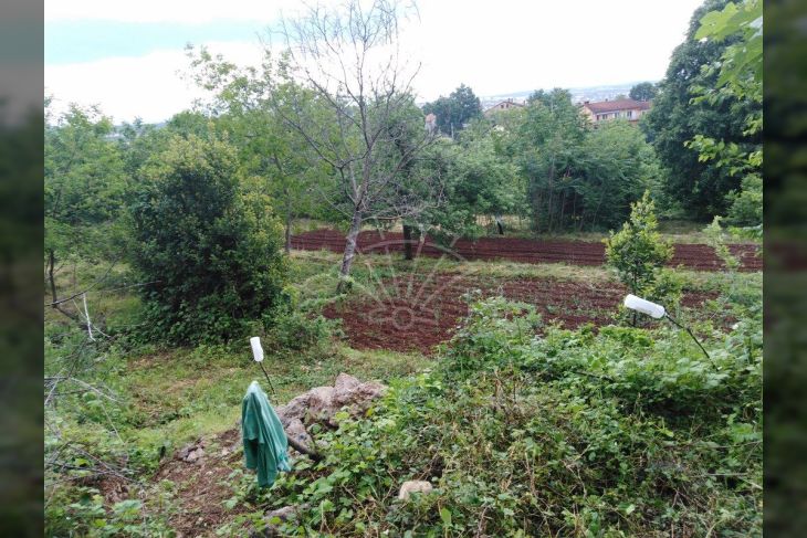 Poljoprivredno zemljište, Prodaja, Opatija - Okolica, Pobri Poljoprivredno zemljište, Prodaja, Opatija - Okolica, Pobri