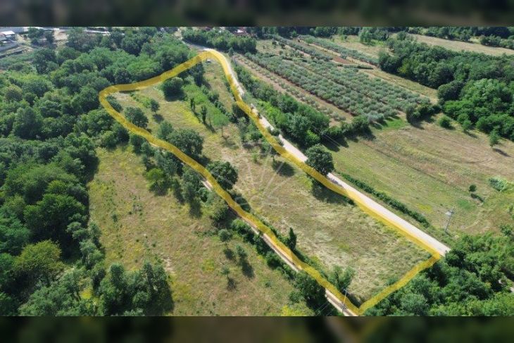 Građevinsko zemljište, Prodaja, Višnjan, Višnjan