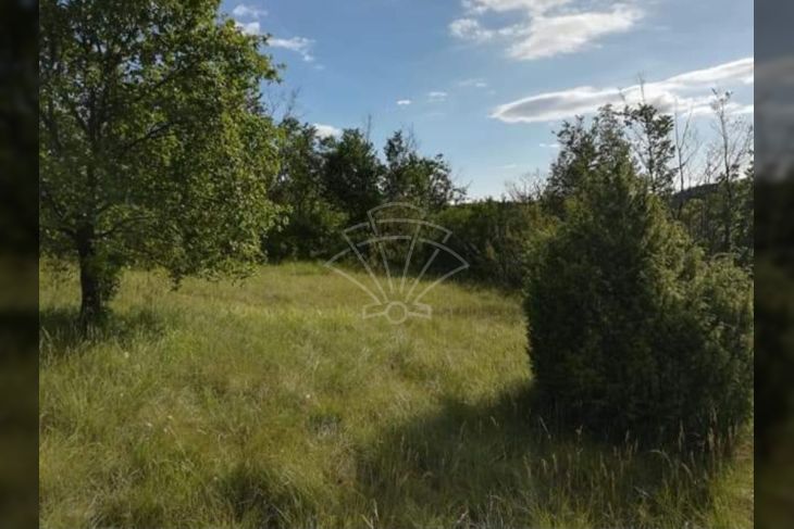Poljoprivredno zemljište, Prodaja, Oprtalj, Oprtalj Poljoprivredno zemljište, Prodaja, Oprtalj, Oprtalj