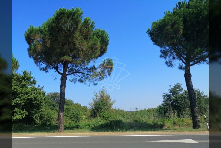 Građevinsko zemljište, Prodaja, Rovinj, Rovinj