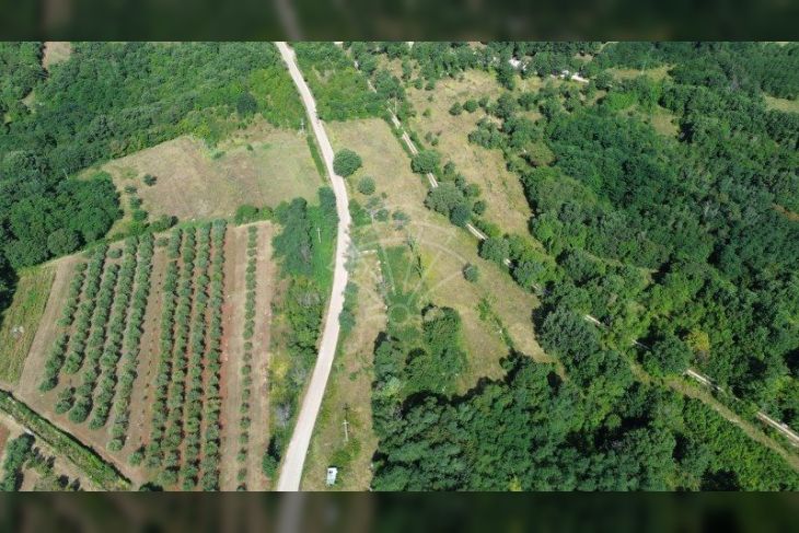 Građevinsko zemljište, Prodaja, Višnjan, Višnjan